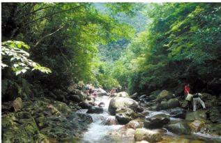 杭州爆料蝴蝶谷事件视频,神秘现象引发网友热议